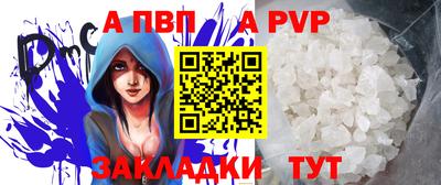 гашик Тара