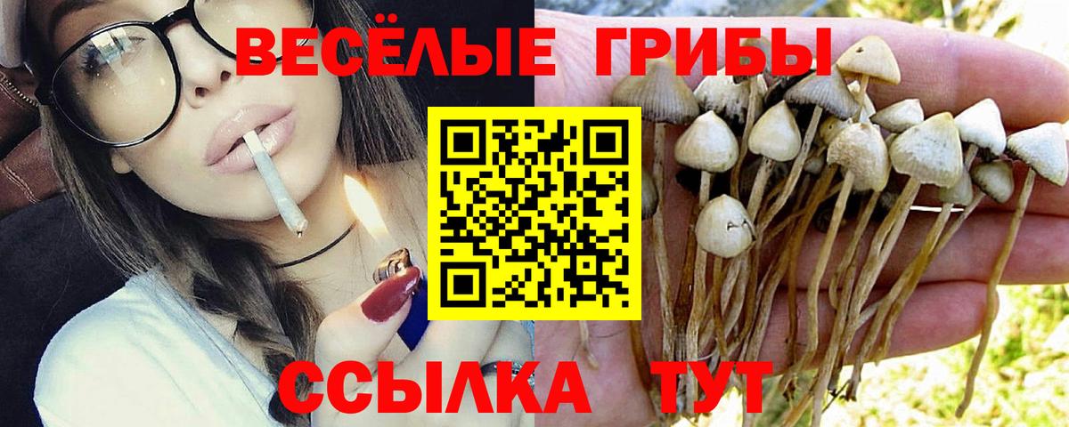 Орск  цены наркотик  Псилоцибиновые грибы ЛСД  Вход с VPN  Псилоцибиновые грибы Psilocybine cubensis 